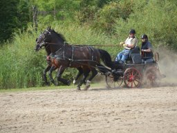 DSC_9185_web